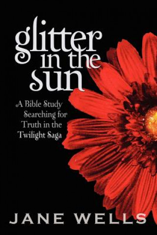 Kniha Glitter in the Sun Jane Wells