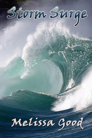 Book Storm Surge Melissa Good