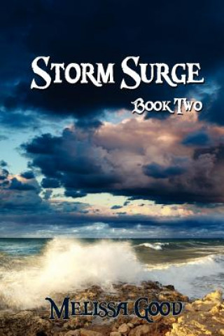 Boek Storm Surge - Book Two Melissa Good