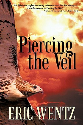 Kniha Piercing the Veil Eric Wentz