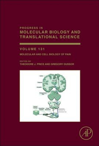 Kniha Molecular and Cell Biology of Pain Theodore Price