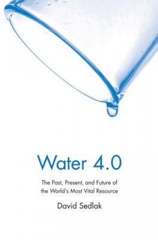 Kniha Water 4.0 David Sedlak