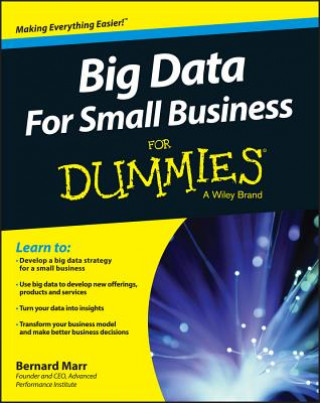 Kniha Big Data For Small Business For Dummies Bernard B. Marr