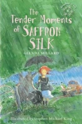 Kniha Tender Moments of Saffron Silk Glenda Millard