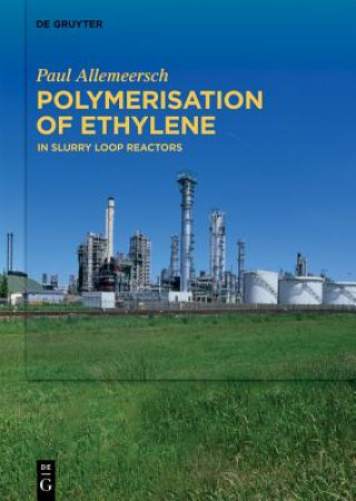 Könyv Polymerisation of Ethylene Paul Allemeersch