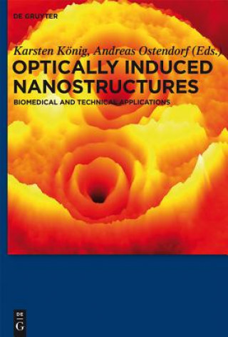 Kniha Optically Induced Nanostructures Karsten König