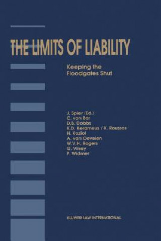 Könyv Limits of Liability Jaap Spier