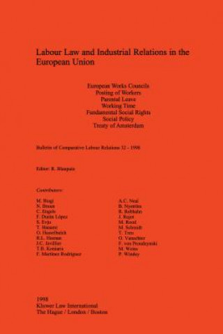 Kniha Labour Law and Industrial Relations in the European Union Roger Blanpain