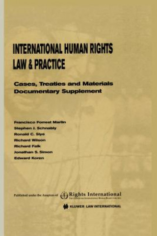 Könyv International Human Rights Law & Practice Rights International