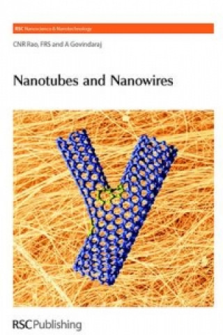 Kniha Nanotubes and Nanowires A. Dr. Govindaraj