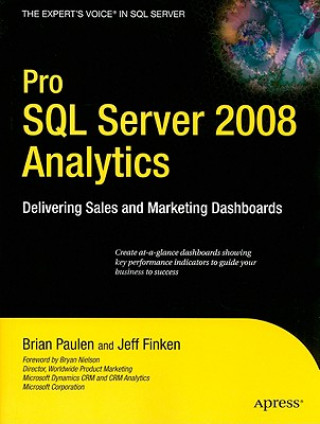 Kniha Pro SQL Server 2008 Analytics J. Finken