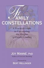 Könyv Family Constellations Joy Manne