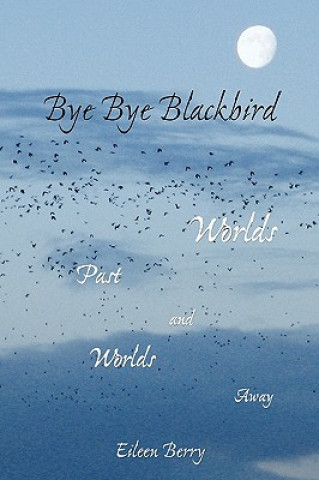 Boek Bye Bye Blackbird Eileen Berry