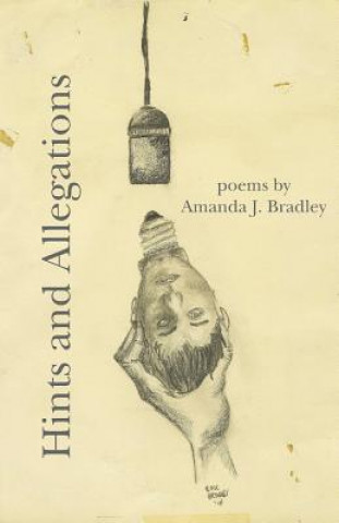 Buch Hints and Allegations Amanda J Bradley