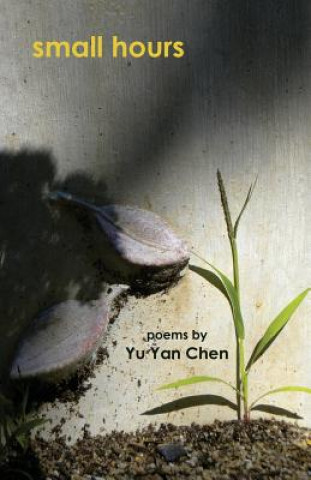 Livre Small Hours Yu Yan Chen