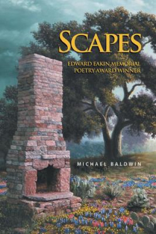 Buch Scapes Michael Baldwin