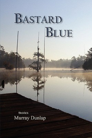 Kniha Bastard Blue Murray Dunlap