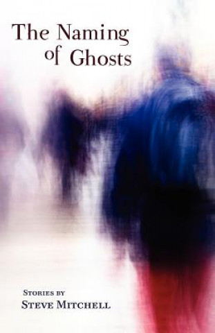 Knjiga Naming of Ghosts Steve Mitchell