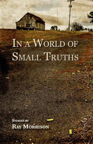 Carte In a World of Small Truths Ray Morrison
