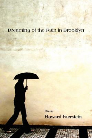 Könyv Dreaming of the Rain in Brooklyn Howard Faerstein