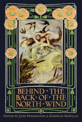 Könyv Behind the Back of the North Wind John Pennington