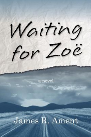 Könyv Waiting for Zoe James R Ament