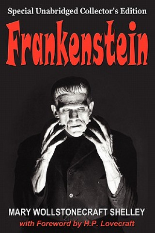 Buch Frankenstein Mary Wollstonecraft Shelley