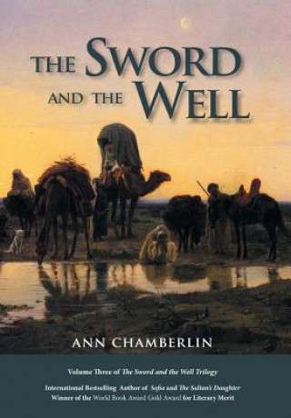 Livro Sword and the Well Ann Chamberlin