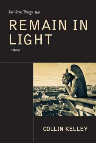 Boek Remain in Light Collin Kelley