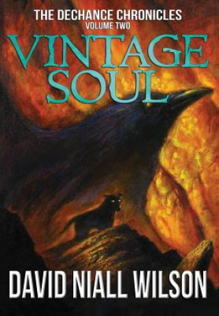 Könyv Vintage Soul David Niall Wilson