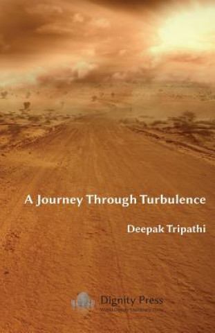 Книга Journey Through Turbulence Deepak Tripathi