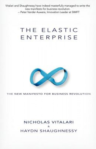 Kniha Elastic Enterprise Haydn Shaughnessy