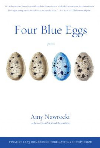 Carte Four Blue Eggs Amy Nawrocki