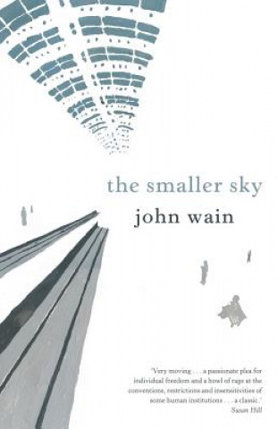 Kniha Smaller Sky Wain