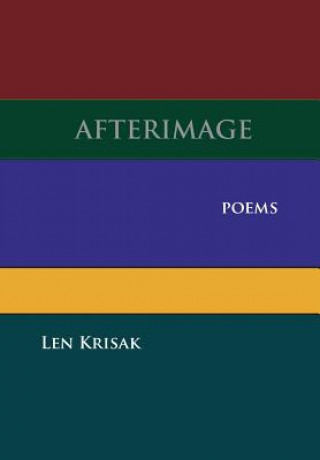 Buch Afterimage Len Krisak