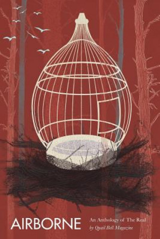 Книга Airborne Julie Dinisio