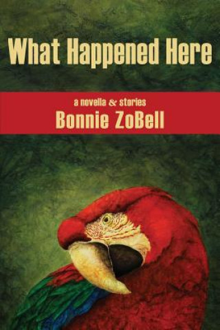 Kniha What Happened Here Bonnie Zobell