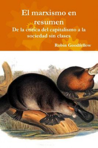 Kniha marxismo en resumen Goodfellow