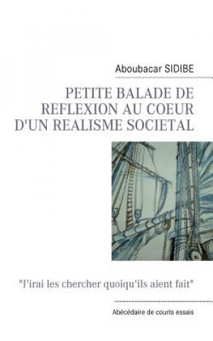 Kniha Petite Balade de Reflexion Au Coeur d'Un Realisme Societal Aboubacar Sidibe