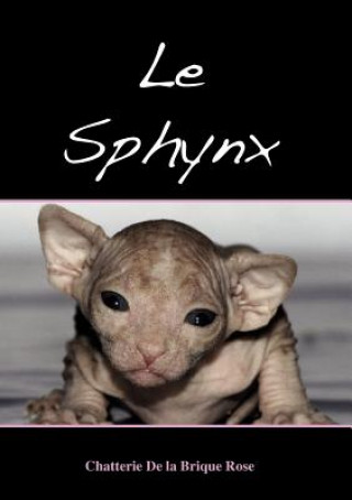 Könyv sphynx Jean-Claude Dufour