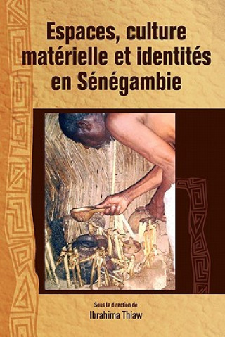 Buch Espaces, Culture Materielle Et Identites En Senegambie Ibrahima Thiaw