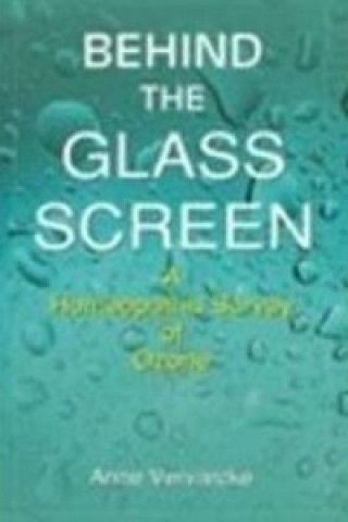 Kniha Behind the Glass Screen Anne Vervarcke