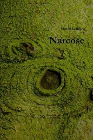 Buch Narcose David Lelievre
