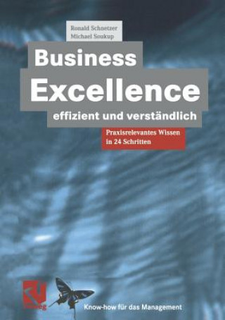 Könyv Business Excellence Effizient Und Verstandlich Michael Soukup