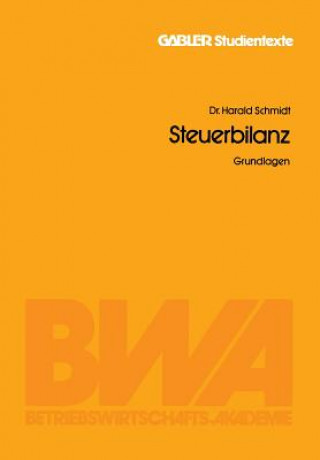 Kniha Steuerbilanz Schmidt