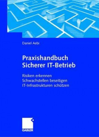 Könyv Praxishandbuch Sicherer It-Betrieb Daniel Aebi