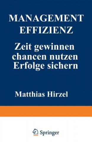 Kniha Management Effizienz Matthias Hirzel