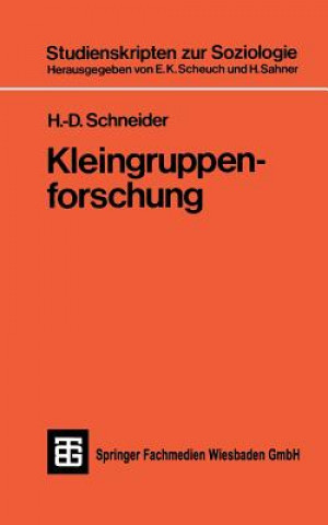 Kniha Kleingruppenforschung 