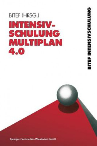 Boek Intensivschulung Multiplan 4.0 Werner Peters