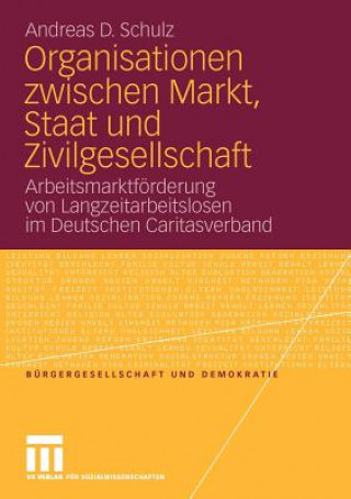 Kniha Organisationen Zwischen Markt, Staat Und Zivilgesellschaft Andreas D Schulz